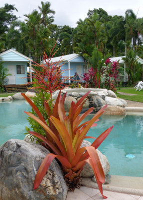 Mossman Motel and Holiday Villas