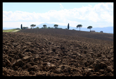 Terre de Toscane.jpg
