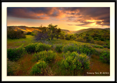 Carrizo Plains