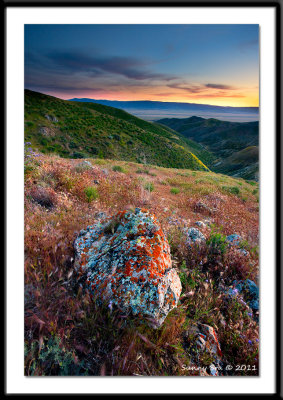 Carrizo Plains