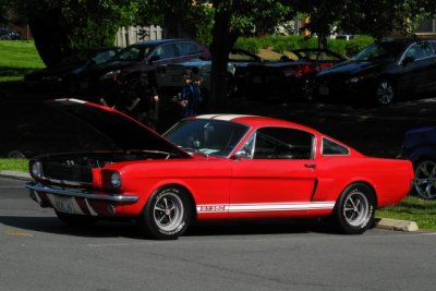 1966 Shelby Mustang GT350 (7932)