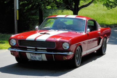 1966 Shelby Mustang GT350 (7962)