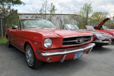 1965 Ford Mustang (6557)