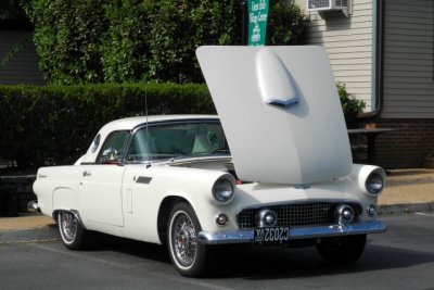 1956 Ford Thunderbird (2229)