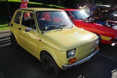 Fiat (3088)