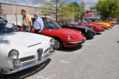 Alfa Romeos (0116)