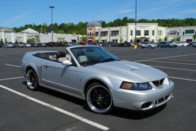 2003 Ford Mustang Cobra SVT, with about 8,000 original miles (6458)