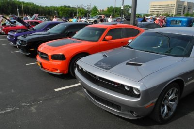 Dodge Challengers and Charger (6564)