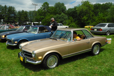 Deutsche Marque Concours d'Elegance in Virginia (1168)