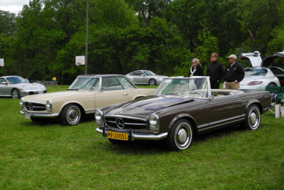 Deutsche Marque Concours d'Elegance in Virginia (1171)