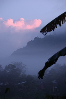 Kinabatangan sunrise