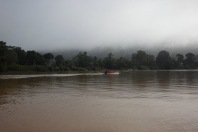 Kinabatangan river