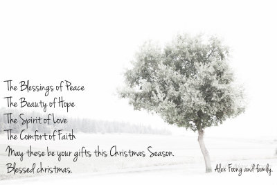 Wishing all my pbase friends A Blessed Christmas 2013!