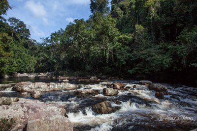 Taman Negara, Pahang