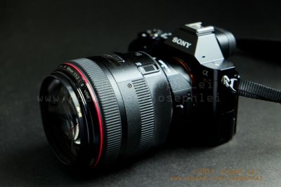 Canon 85mm f/1.2 II It looks balanced with the lens but the lens is just too heavy for this camera