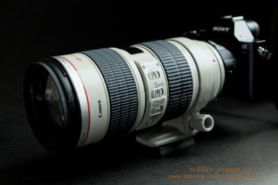 Canon 70-200mm f/2.8 IS<p>Obviously an overkill!