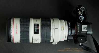 Sony A7R with various SLR lenses