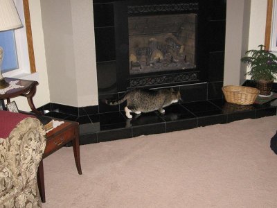 IMG_7434.JPG