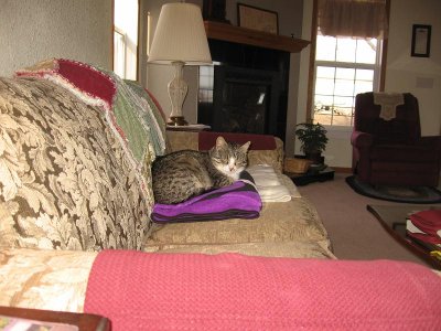 IMG_7460.JPG