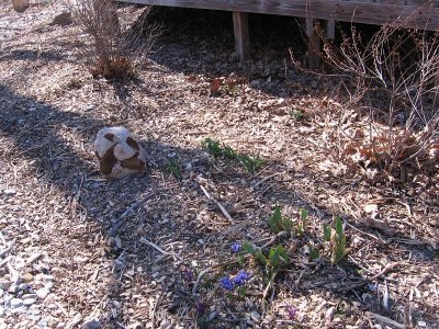 IMG_7496.JPG