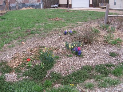 IMG_7503.JPG