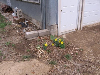 IMG_7504.JPG