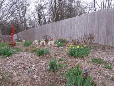 IMG_7510.JPG