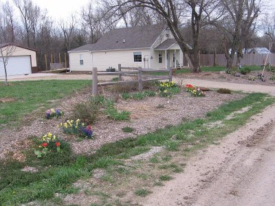 IMG_7513.JPG