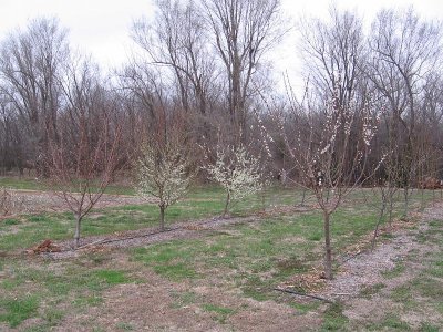 IMG_7514.JPG