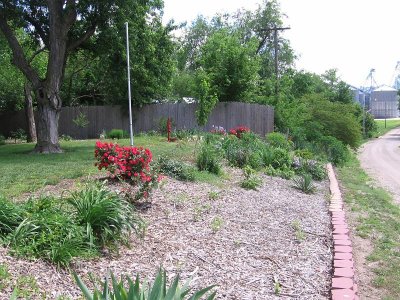 IMG_7632.JPG