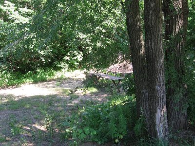 IMG_7635.JPG