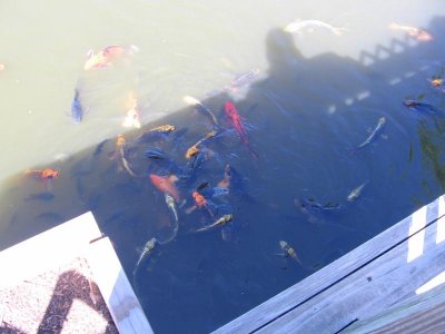 IMG_7726.JPG