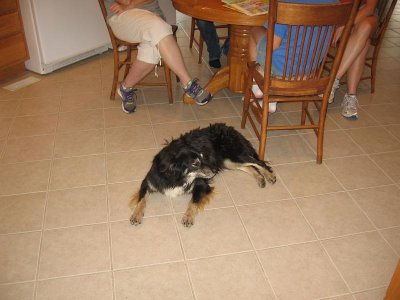 IMG_7786.JPG