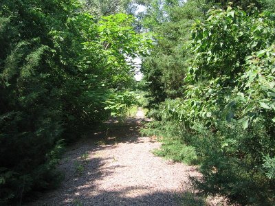 IMG_7804.JPG