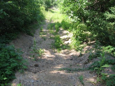 IMG_7805.JPG