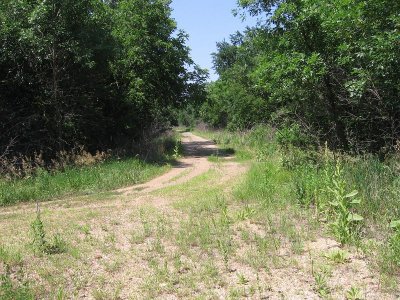 IMG_7806.JPG