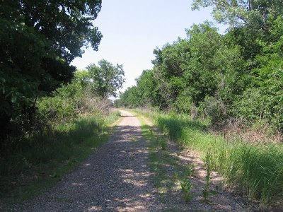 IMG_7807.JPG