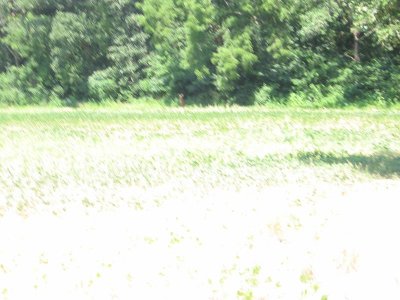 IMG_7811.JPG