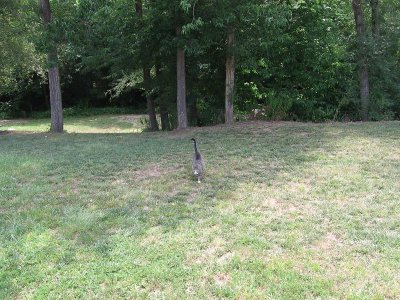 IMG_7831.JPG