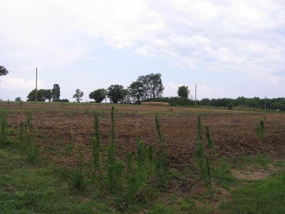 IMG_7850.JPG