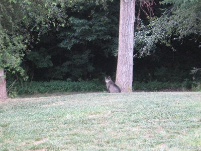 IMG_7854.JPG