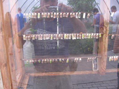 IMG_7929.JPG