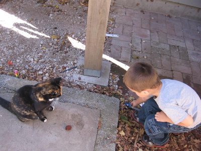 IMG_7987.JPG