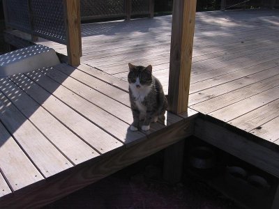 IMG_7998.JPG