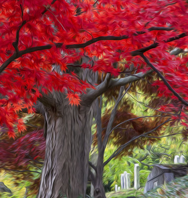 Mt Auburn foliage with headstones 2.jpg