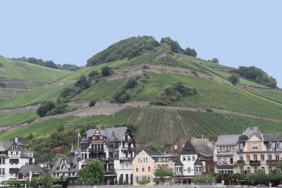 Middle Rhine town and vineyards.jpg