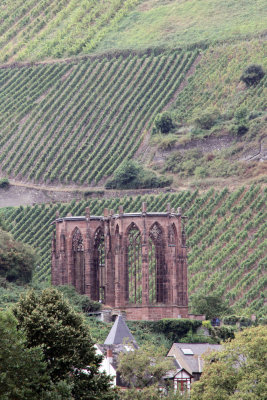 Middle Rhine castle remains and vinehards.jpg