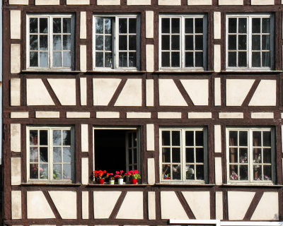 Strasbourg window with geraniums.jpg