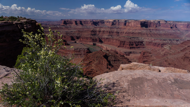 Dead Horse Point