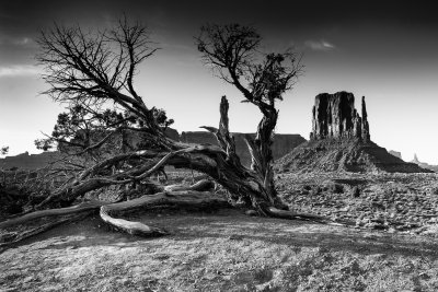 Monument_Valley-1.jpg